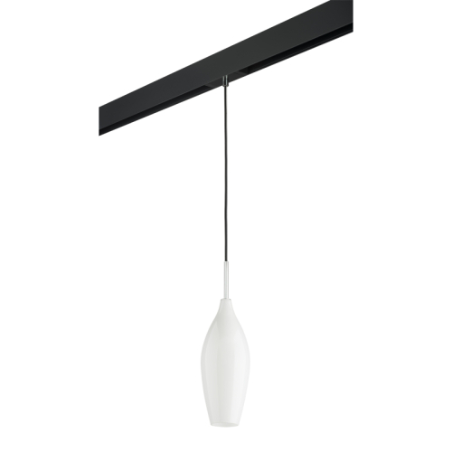 Трековый светильник Lightstar Pentola PRO803020 (803020+595007) изображение в интернет-магазине Cramer Light