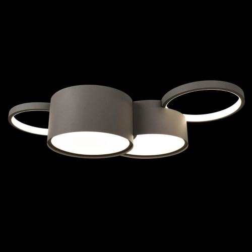 Потолочная люстра Loft IT Pin 10317/4 Grey изображение в интернет-магазине Cramer Light фото 3
