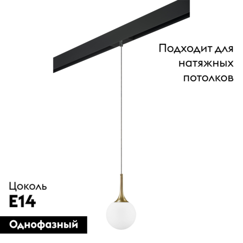 Трековый светильник Lightstar Globo PRO813012 (813012+595007) изображение в интернет-магазине Cramer Light фото 2