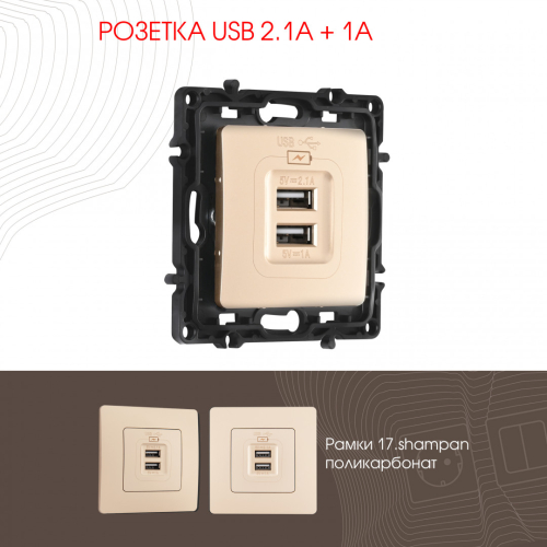 Розетка USB 2.1А+1А Arte Milano 217.46-1.shampan дополнительное фото
