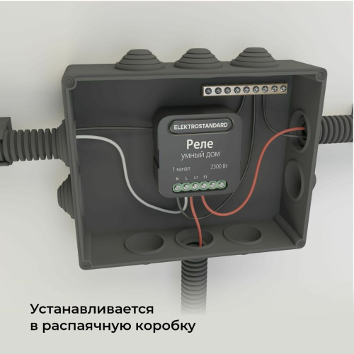 Умное одноканальное реле Elektrostandard 4690389185069 a059324 дополнительное фото фото 2