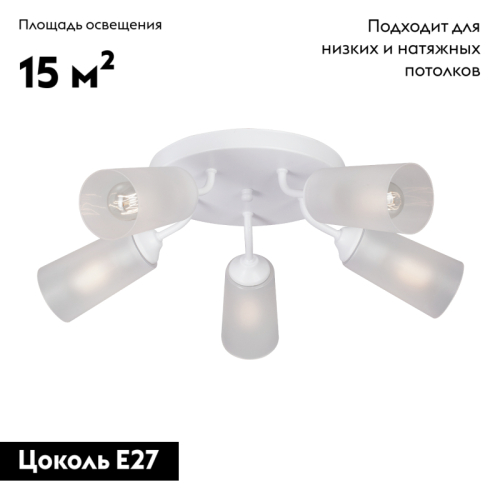 Потолочная люстра Vitaluce V3762-0/5PL изображение в интернет-магазине Cramer Light фото 2