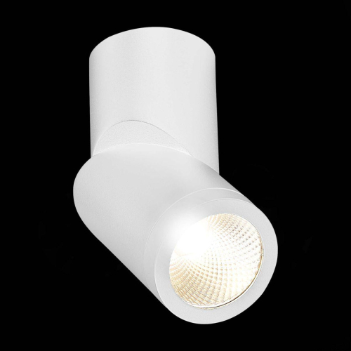 Светодиодный спот ST Luce ST650.532.10 изображение в интернет-магазине Cramer Light фото 2