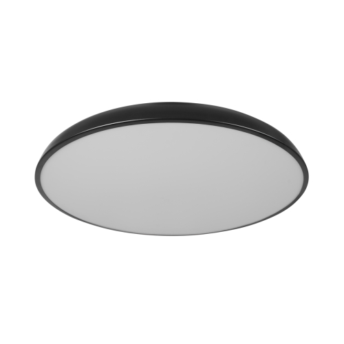 Потолочный светильник Loft IT Dime 10371 Black изображение в интернет-магазине Cramer Light