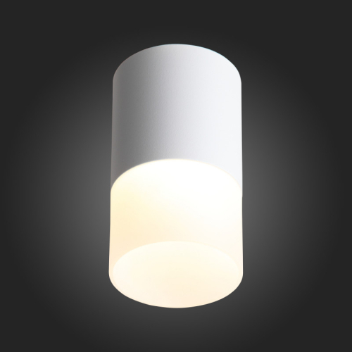 Накладной светильник ST Luce ST100.502.10 изображение в интернет-магазине Cramer Light фото 4