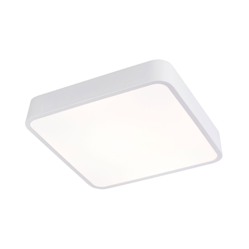 Потолочный светильник LED4U L2022-300 WH изображение в интернет-магазине Cramer Light
