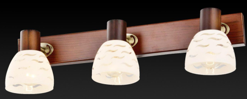 Спот Toplight Shayla TL3730Y-03BB изображение в интернет-магазине Cramer Light фото 2