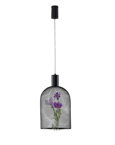 Подвесной светильник Moderli Ophelia V11875-PL изображение в интернет-магазине Cramer Light