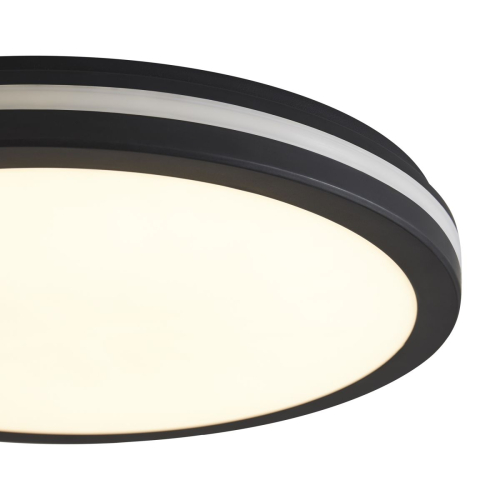 Потолочный светильник Freya Rua FR6160CL-L40B изображение в интернет-магазине Cramer Light фото 6