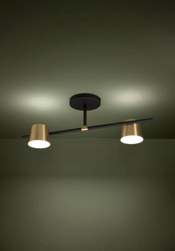 Потолочный светильник Eglo Altamira 39983 изображение в интернет-магазине Cramer Light фото 2