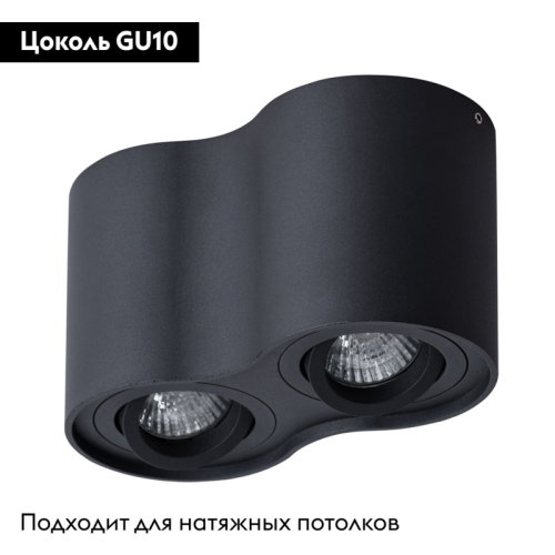 Потолочный светильник Arte Lamp Falcon A5645PL-2BK изображение в интернет-магазине Cramer Light фото 2