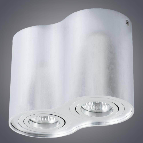 Потолочный светильник Arte Lamp A5644PL-2SI изображение в интернет-магазине Cramer Light фото 4