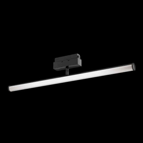 Трековый светильник Maytoni Lark TR026-2-10B3K изображение в интернет-магазине Cramer Light