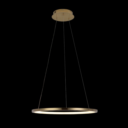 Подвесной светодиодный светильник Loft IT Ring 10014M изображение в интернет-магазине Cramer Light фото 5