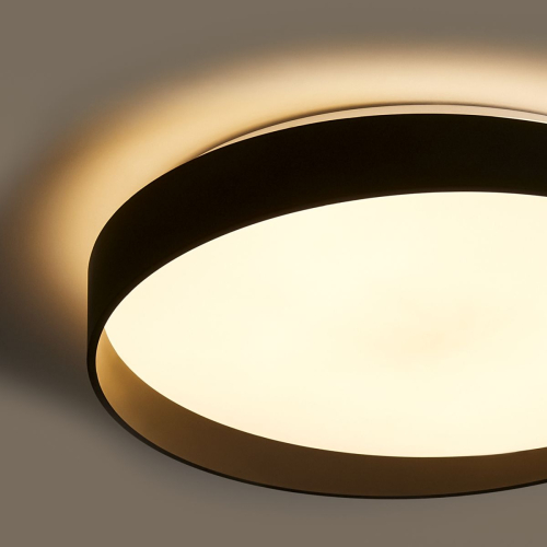 Потолочный светильник Freya Pass FR6222CL-L84B изображение в интернет-магазине Cramer Light фото 2