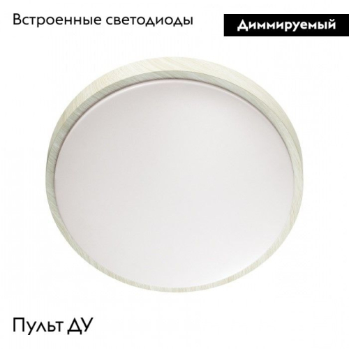 Настенно-потолочный светильник Sonex Losta 7628/EL изображение в интернет-магазине Cramer Light фото 2