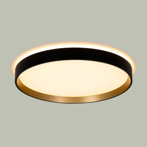 Потолочный светильник Citilux Etalon CL750321R изображение в интернет-магазине Cramer Light фото 6