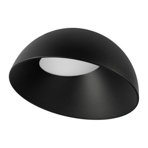 Потолочный светильник Loft IT Egg 10197/500 BB изображение в интернет-магазине Cramer Light