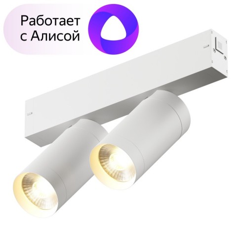 Трековый светильник Denkirs Smart DK8012-WH изображение в интернет-магазине Cramer Light