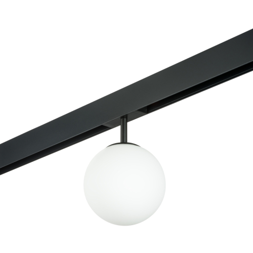 Трековый светильник Lightstar Teta PRO120107 (595107+595120) изображение в интернет-магазине Cramer Light