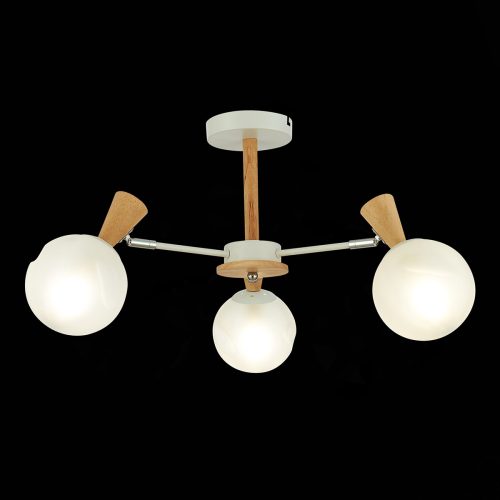 Потолочная люстра Evoluce Catania SLE220702-03 изображение в интернет-магазине Cramer Light фото 3