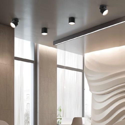 Спот Wolta Basic WSL-GX53/02BL изображение в интернет-магазине Cramer Light фото 2