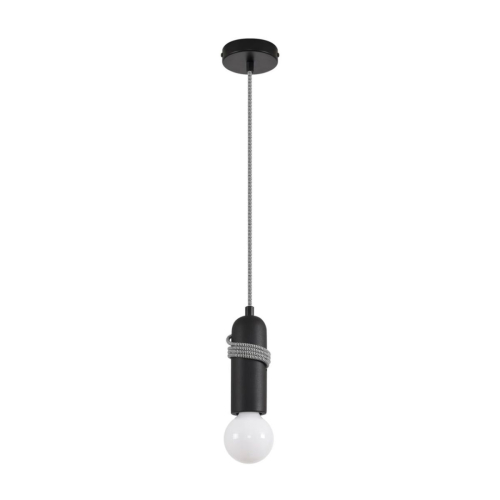 Подвесной светильник Lumion Eco Tesla 8364/1A изображение в интернет-магазине Cramer Light
