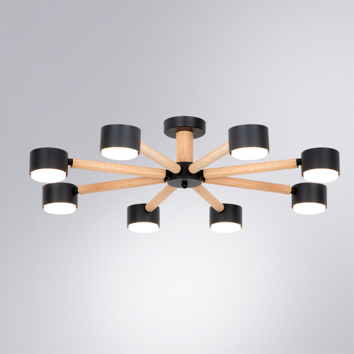 Потолочные люстры Arte Lamp Tenda A1624PL-8BK изображение в интернет-магазине Cramer Light фото 2