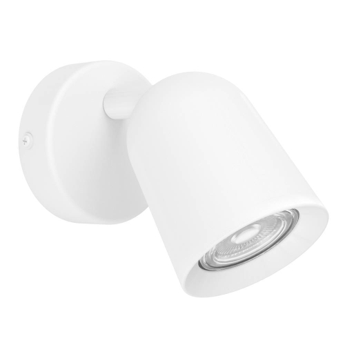 Спот Eglo Camaldoli 901945 изображение в интернет-магазине Cramer Light