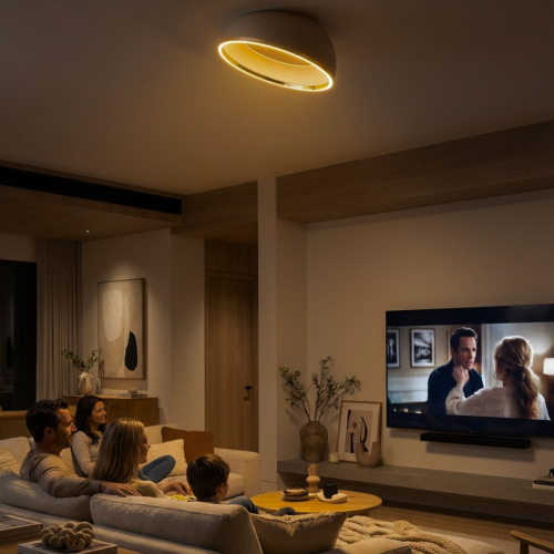 Потолочный светильник Citilux Floom CL736152 изображение в интернет-магазине Cramer Light фото 12