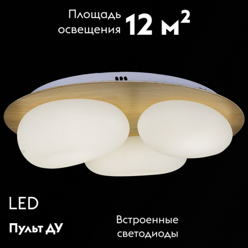 Потолочная люстра Reluce 10009-0.3-60W AEROLITE изображение в интернет-магазине Cramer Light фото 2