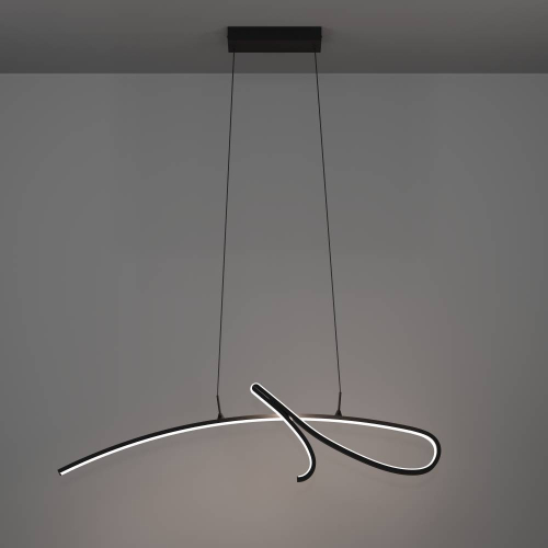 Подвесной светильник Eglo Cardoncito 902346 изображение в интернет-магазине Cramer Light фото 4