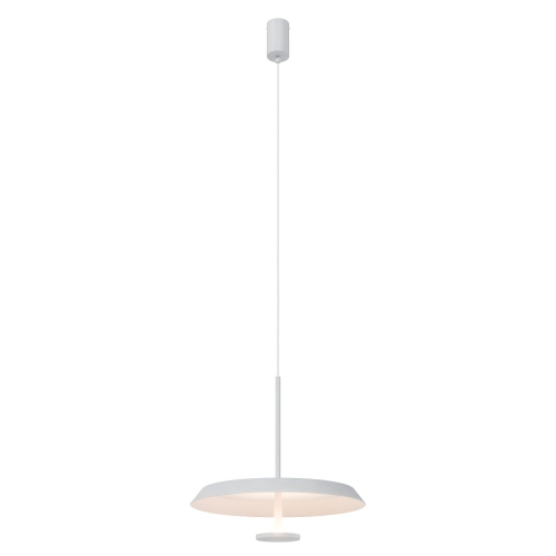Подвесной светильник Lightera Virtus LE420L-1W изображение в интернет-магазине Cramer Light фото 2