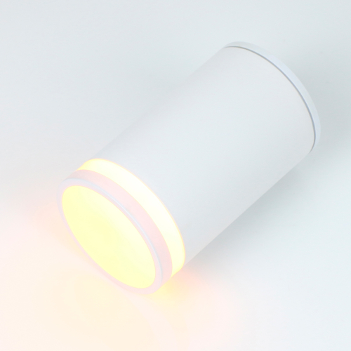 Накладной светильник General GWL-E27-M-IP65 661970 изображение в интернет-магазине Cramer Light