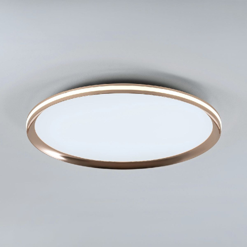Потолочный светильник LED4U L3020-500 GD изображение в интернет-магазине Cramer Light фото 4