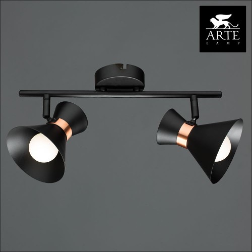 Спот Arte Lamp Baltimore A1406AP-2BK изображение в интернет-магазине Cramer Light фото 3