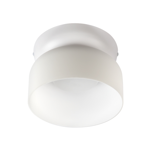 Потолочный светильник LOFT IT Totem 10466 Milky white изображение в интернет-магазине Cramer Light