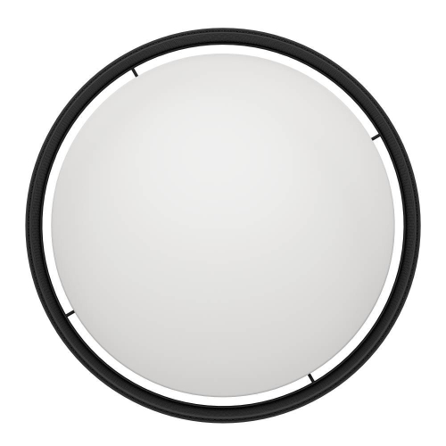 Потолочный светильник Eglo Luppineria 900795 изображение в интернет-магазине Cramer Light фото 5