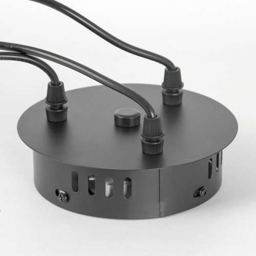 Подвесная люстра Lussole Jasper LSP-8641 изображение в интернет-магазине Cramer Light фото 8