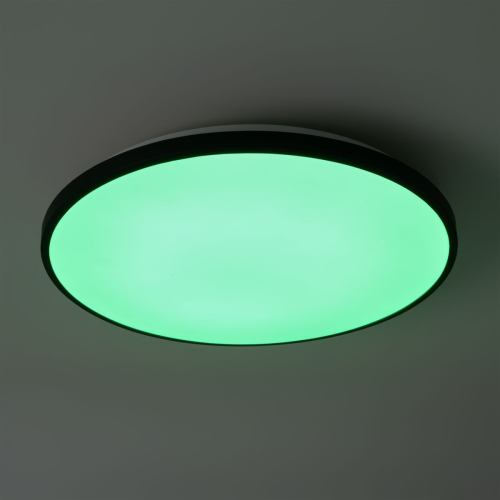Потолочный светильник Freya Obelle FR6211CL-L24B изображение в интернет-магазине Cramer Light фото 9