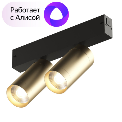 Трековый светильник Denkirs Smart DK8012-BG изображение в интернет-магазине Cramer Light