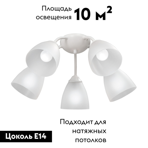Потолочная люстра Vitaluce V3737-0/5PL изображение в интернет-магазине Cramer Light фото 2