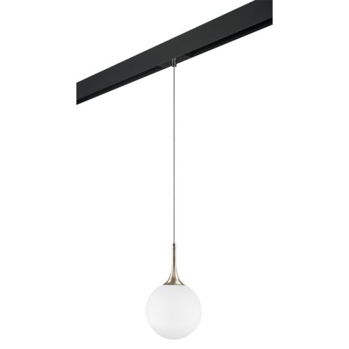 Трековый светильник Lightstar Globo PRO813023 (813023+595007) изображение в интернет-магазине Cramer Light