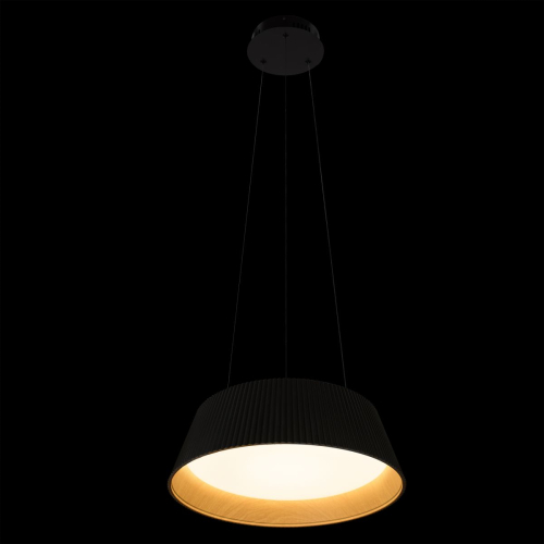 Подвесной светильник Loft IT Evans 10224P Black изображение в интернет-магазине Cramer Light фото 4