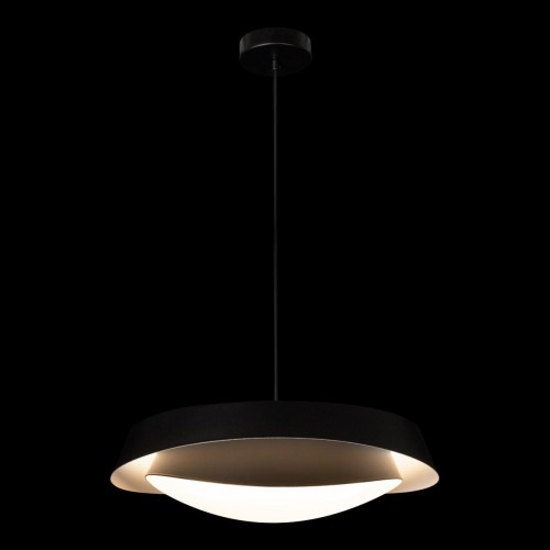 Подвесной светильник Loft IT Petale 10256P Black изображение в интернет-магазине Cramer Light фото 10