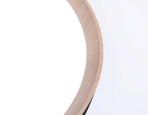 Потолочный светильник Ambrella Light Orbital Design FZ1324 изображение в интернет-магазине Cramer Light фото 7