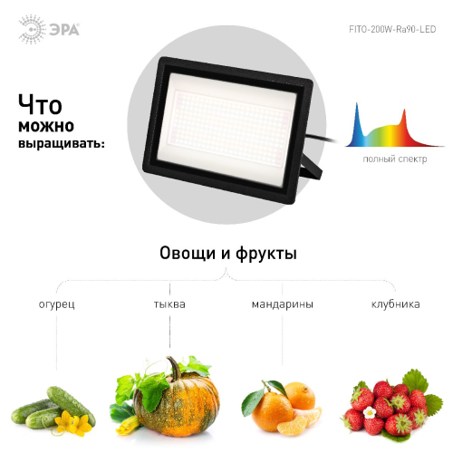 Фитопрожектор Эра FITO-200W-Ra90-LED Б0059879 изображение в интернет-магазине Cramer Light фото 6