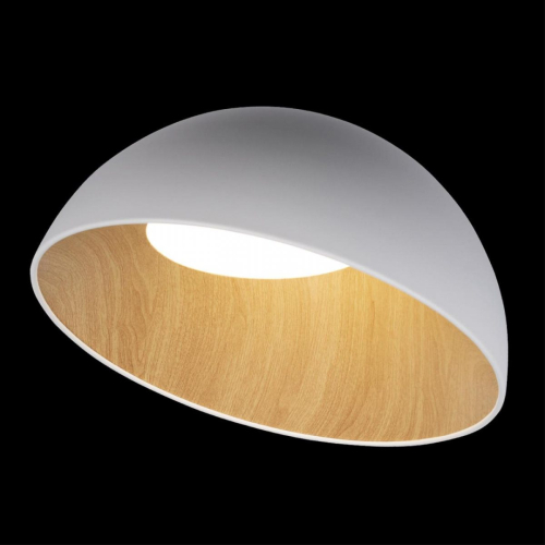 Потолочный светильник Loft IT Egg 10197/500 White изображение в интернет-магазине Cramer Light фото 2