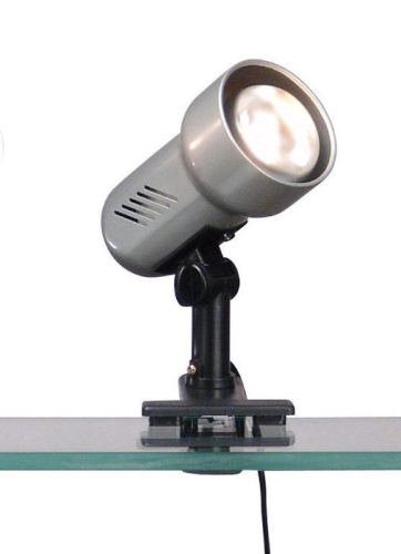 Настольная лампа Globo Basic 5497 изображение в интернет-магазине Cramer Light фото 2