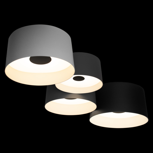Потолочный светильник Loft IT Duo 10360/4 изображение в интернет-магазине Cramer Light фото 4